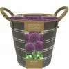 Outdoor Metal Bucket Alliums | Gift Set 2 Outdoor Metal Bucket Alliums | Gift Set -All Plants Sales Store BU30003319 c468