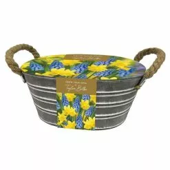 Daffodil And Muscari Outdoor Metal Trough Gift Set | Gift Set