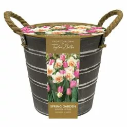 Outdoor Daffodil And Tulip Bucket Gift Set | Gift Set