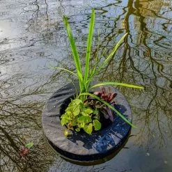 Floating Island For Shallow Water Plants | 24cm Round