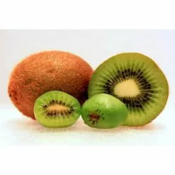 5ft 'Issai' Hardy Kiwi Plant | 9L Pot -All Plants Sales Store PL923102 add image 2 1acb