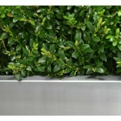 100cm Zinc Galvanised Silver Trough Planter - By Primrose™ -All Plants Sales Store PP0003XL add image 1 7729