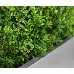 100cm Zinc Galvanised Silver Trough Planter - By Primrose™ -All Plants Sales Store PP0003XL add image 4 94cc