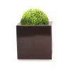 30cm Zinc Galvanised Mocha Brown Cube Pot - By Primrose™ -All Plants Sales Store PP0041M main image c20b