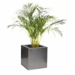 50cm Zinc Galvanised Silver Cube Planter - By Primrose™ -All Plants Sales Store PP0079X add image 5 2d0c