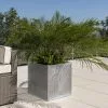50cm Zinc Galvanised Silver Cube Planter - By Primrose™ 1 50cm Zinc Galvanised Silver Cube Planter - By Primrose™ -All Plants Sales Store PP0079X main image 63ec