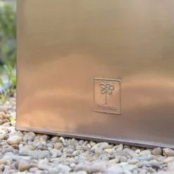 All Plants Sales Store -All Plants Sales Store PP0264L rollover image e99a