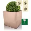 30cm Zinc Galvanised Cube Planter In A Copper Finish By Primrose™ -All Plants Sales Store PP0264M main image 99d6
