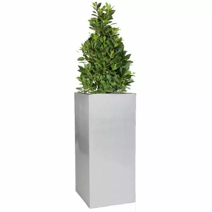H75cm Zinc Galvanised Tall Silver Cube Planter - By Primrose™ 3 H75cm Zinc Galvanised Tall Silver Cube Planter - By Primrose™