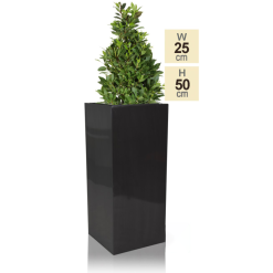 H50cm Zinc Galvanised Tall Platinum Cube Planter - By Primrose™ -All Plants Sales Store PP0500S main image 1795