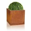 H60cm Large Corten Steel Cube Planter