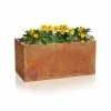 60cm Corten Steel Trough Planter -All Plants Sales Store PP2026S main image 317e