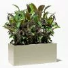 75cm Trough Zinc Ivory Textured Dipped Galvanised Planter -All Plants Sales Store PP40758 main image 813a