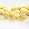Fragaria Vesca Yellow Wonder | 12cm Pot -All Plants Sales Store RH30004944 a703