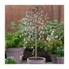 Salix Caprea 'Kilmarnock' | Weeping Willow Tree | 5L Pot| 100-140cm -All Plants Sales Store TR1277 main image 4c83